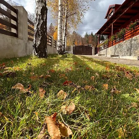 Villa Old Mark's House Sinaia