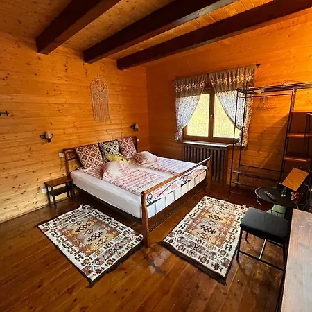 Old Mark's House Villa Sinaia