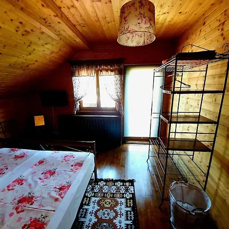 Old Mark's House Sinaia